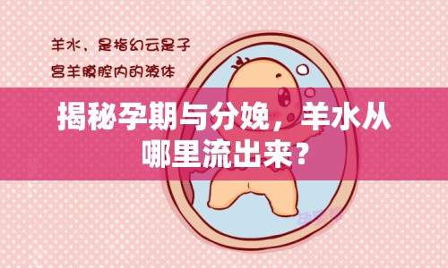 揭秘孕期與分娩，羊水從哪里流出來？