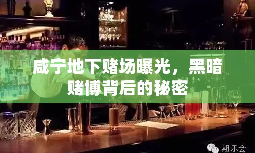 咸寧地下賭場曝光，黑暗賭博背后的秘密