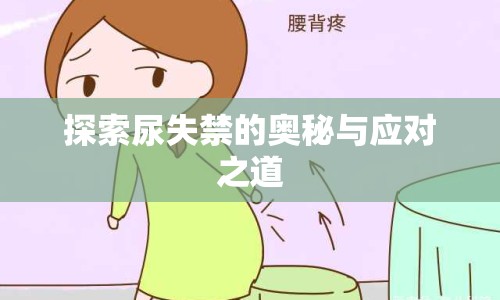探索尿失禁的奧秘與應對之道