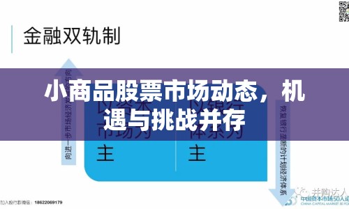 小商品股票市場(chǎng)動(dòng)態(tài)，機(jī)遇與挑戰(zhàn)并存