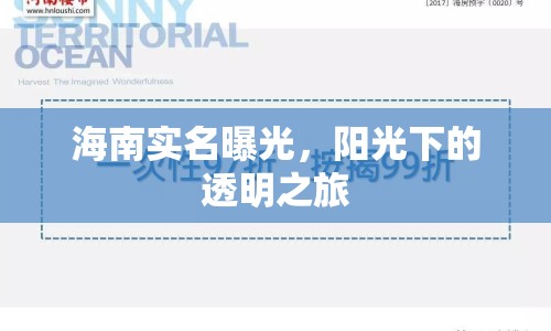 海南實(shí)名曝光，陽光下的透明之旅