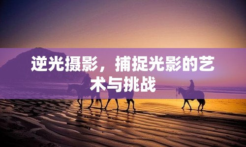 逆光攝影，捕捉光影的藝術(shù)與挑戰(zhàn)