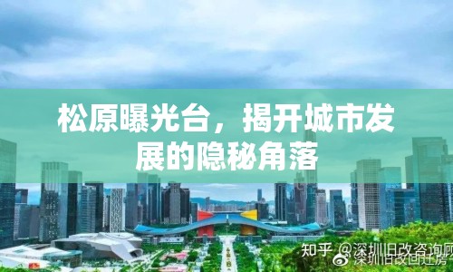 松原曝光臺，揭開城市發(fā)展的隱秘角落