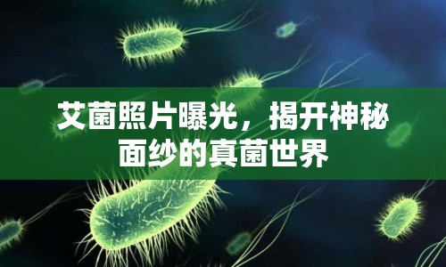 艾菌照片曝光，揭開神秘面紗的真菌世界