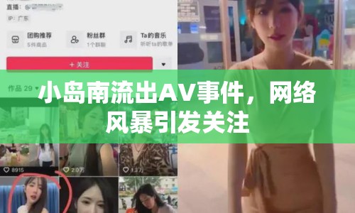 小島南流出AV事件，網(wǎng)絡(luò)風(fēng)暴引發(fā)關(guān)注