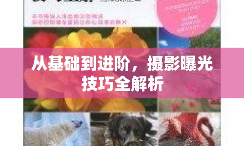 從基礎到進階，攝影曝光技巧全解析
