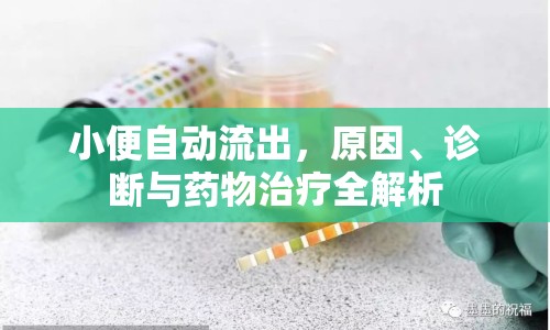 小便自動(dòng)流出，原因、診斷與藥物治療全解析