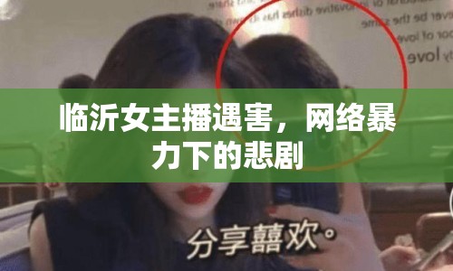 臨沂女主播遇害，網(wǎng)絡(luò)暴力下的悲劇