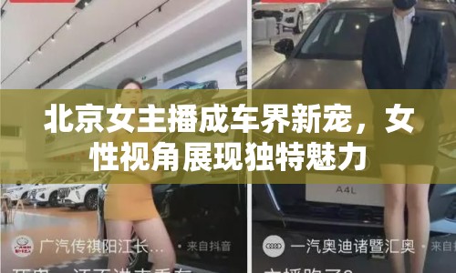 北京女主播成車界新寵，女性視角展現(xiàn)獨(dú)特魅力