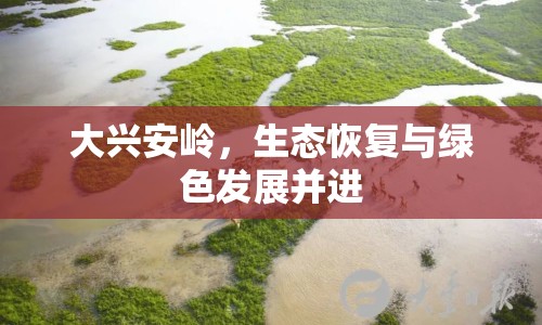 大興安嶺，生態(tài)恢復與綠色發(fā)展并進