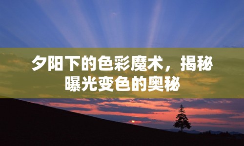 夕陽下的色彩魔術(shù)，揭秘曝光變色的奧秘