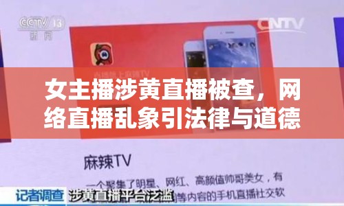 女主播涉黃直播被查，網(wǎng)絡(luò)直播亂象引法律與道德深思