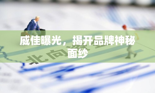 威佳曝光，揭開品牌神秘面紗