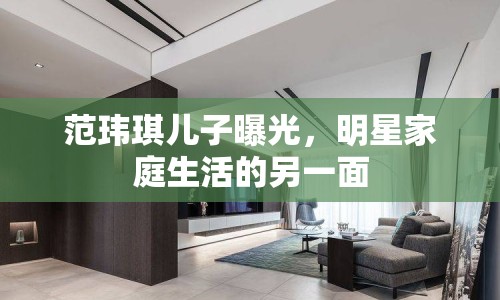 范瑋琪兒子曝光，明星家庭生活的另一面