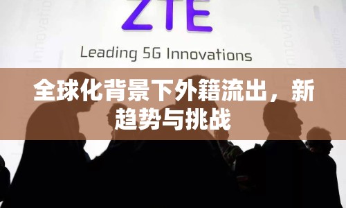全球化背景下外籍流出，新趨勢與挑戰(zhàn)