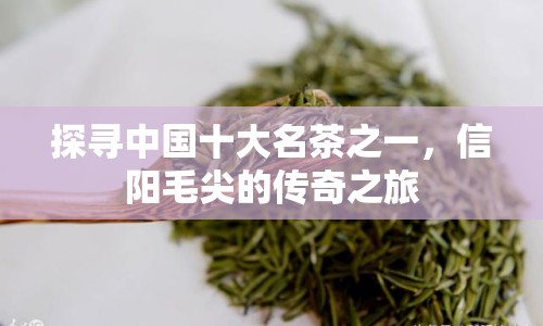 探尋中國十大名茶之一，信陽毛尖的傳奇之旅