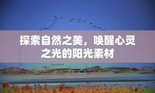 探索自然之美，喚醒心靈之光的陽(yáng)光素材