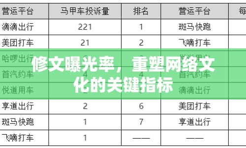 修文曝光率，重塑網(wǎng)絡(luò)文化的關(guān)鍵指標(biāo)