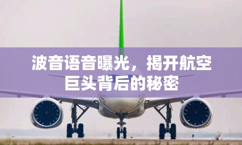波音語音曝光，揭開航空巨頭背后的秘密