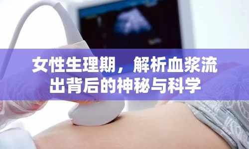 女性生理期，解析血漿流出背后的神秘與科學(xué)