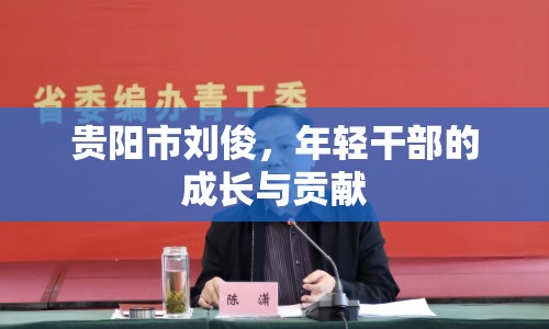 貴陽市劉俊，年輕干部的成長與貢獻(xiàn)