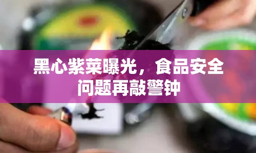 黑心紫菜曝光，食品安全問題再敲警鐘
