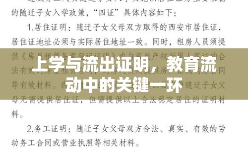 上學(xué)與流出證明，教育流動中的關(guān)鍵一環(huán)