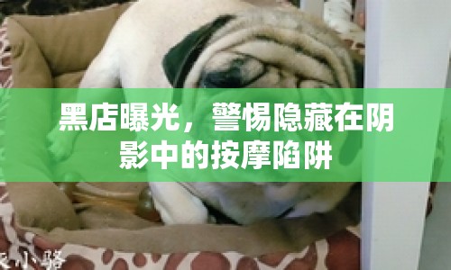 黑店曝光，警惕隱藏在陰影中的按摩陷阱