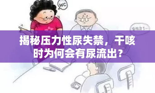 揭秘壓力性尿失禁，干咳時為何會有尿流出？