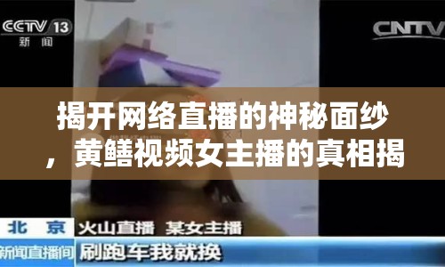 揭開網(wǎng)絡(luò)直播的神秘面紗，黃鱔視頻女主播的真相揭秘