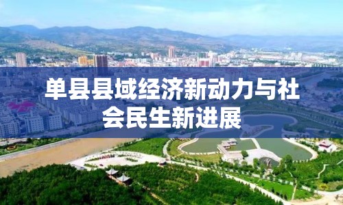 單縣縣域經(jīng)濟新動力與社會民生新進展