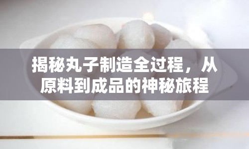 揭秘丸子制造全過(guò)程，從原料到成品的神秘旅程