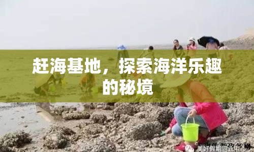 趕?；?，探索海洋樂趣的秘境
