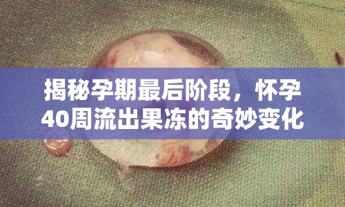 揭秘孕期最后階段，懷孕40周流出果凍的奇妙變化