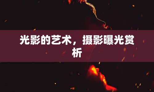 光影的藝術，攝影曝光賞析