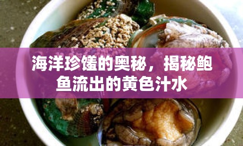 海洋珍饈的奧秘，揭秘鮑魚流出的黃色汁水