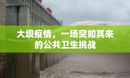 大壩疫情，一場突如其來的公共衛(wèi)生挑戰(zhàn)