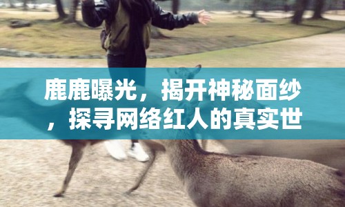 鹿鹿曝光，揭開(kāi)神秘面紗，探尋網(wǎng)絡(luò)紅人的真實(shí)世界