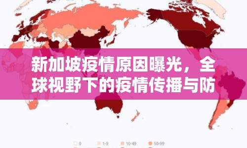 新加坡疫情原因曝光，全球視野下的疫情傳播與防控挑戰(zhàn)