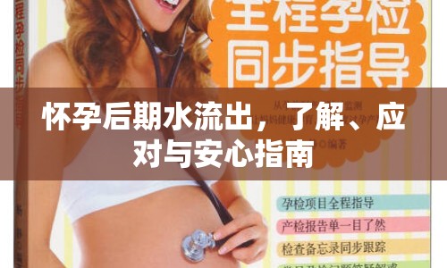 懷孕后期水流出，了解、應(yīng)對與安心指南