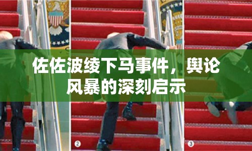 佐佐波綾下馬事件，輿論風(fēng)暴的深刻啟示