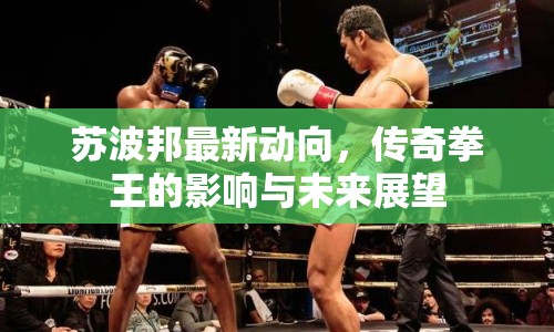 蘇波邦最新動(dòng)向，傳奇拳王的影響與未來(lái)展望