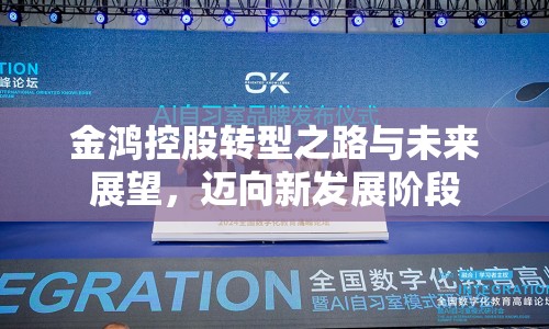 金鴻控股轉(zhuǎn)型之路與未來(lái)展望，邁向新發(fā)展階段