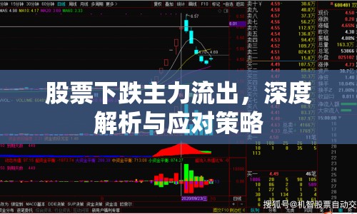 股票下跌主力流出，深度解析與應(yīng)對(duì)策略