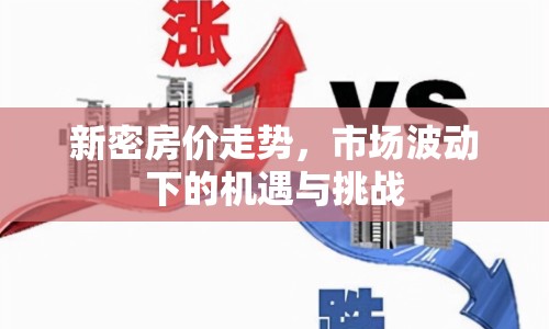 新密房?jī)r(jià)走勢(shì)，市場(chǎng)波動(dòng)下的機(jī)遇與挑戰(zhàn)