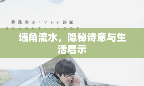 墻角流水，隱秘詩(shī)意與生活啟示
