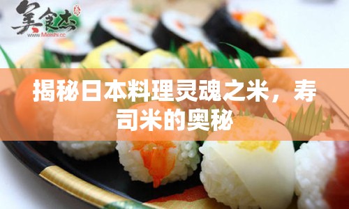 揭秘日本料理靈魂之米，壽司米的奧秘
