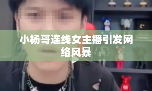 小楊哥連線女主播引發(fā)網(wǎng)絡(luò)風(fēng)暴