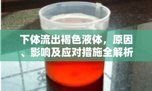 下體流出褐色液體，原因、影響及應(yīng)對(duì)措施全解析