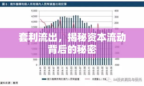 套利流出，揭秘資本流動(dòng)背后的秘密